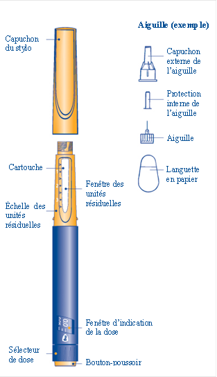 Que voulez-vous que Primobolan acheter en ligne devienne ?