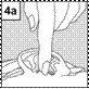 N:\MATERIAL ACOND GRAFICO\Cetraxal Plus\0166\4a.png