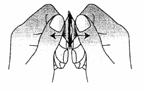 http://afssaps-prd.afssaps.fr/php/ecodex/images/N0123373/image005.jpg