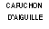 Zone de Texte: CAPUCHON DAIGUILLE